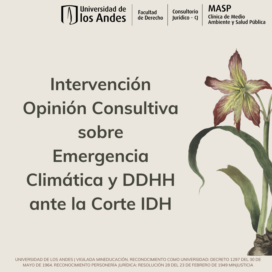 INTERVENCION EMERGENCIA CLIMATICA CORTE IDH